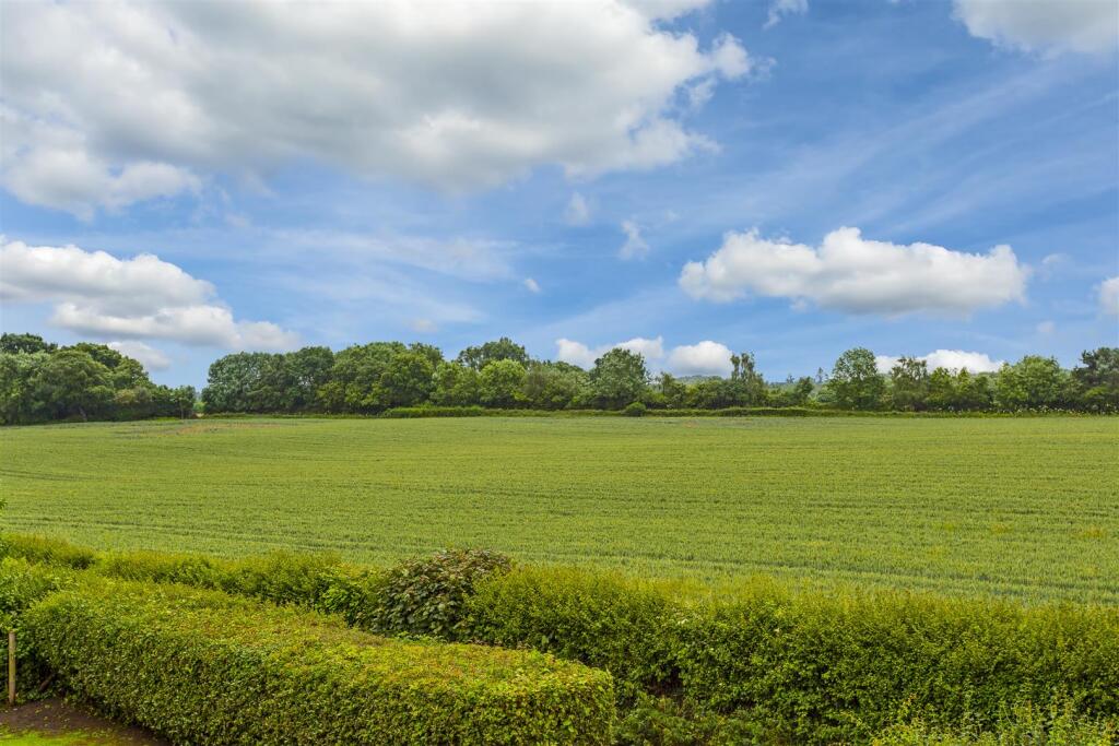House in Kingston upon Thames - View 4