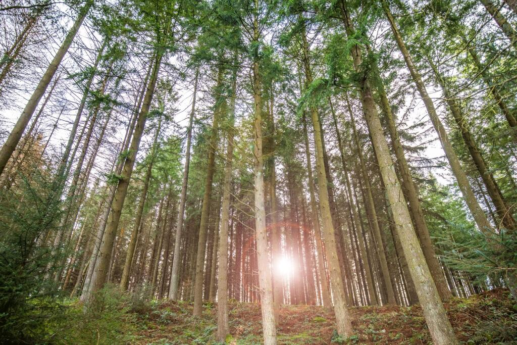 Additional image 18 of Cuthbertson Walk
Bucksburn
Aberdeen
AB21 9HG