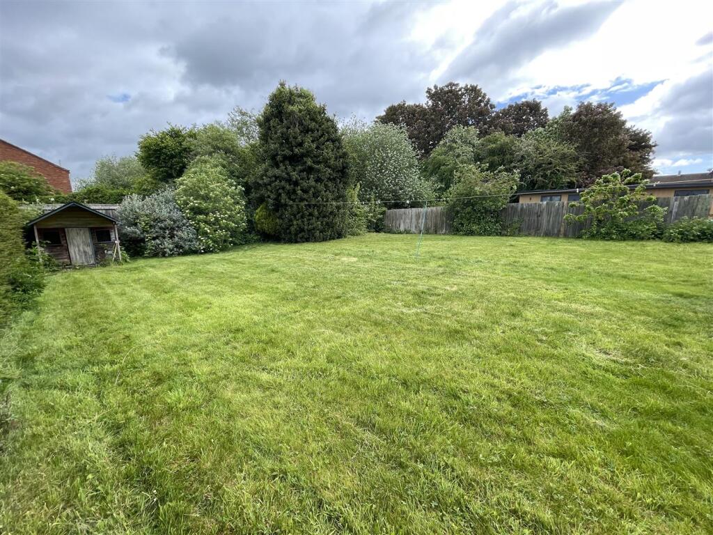 IMG_5342.JPG