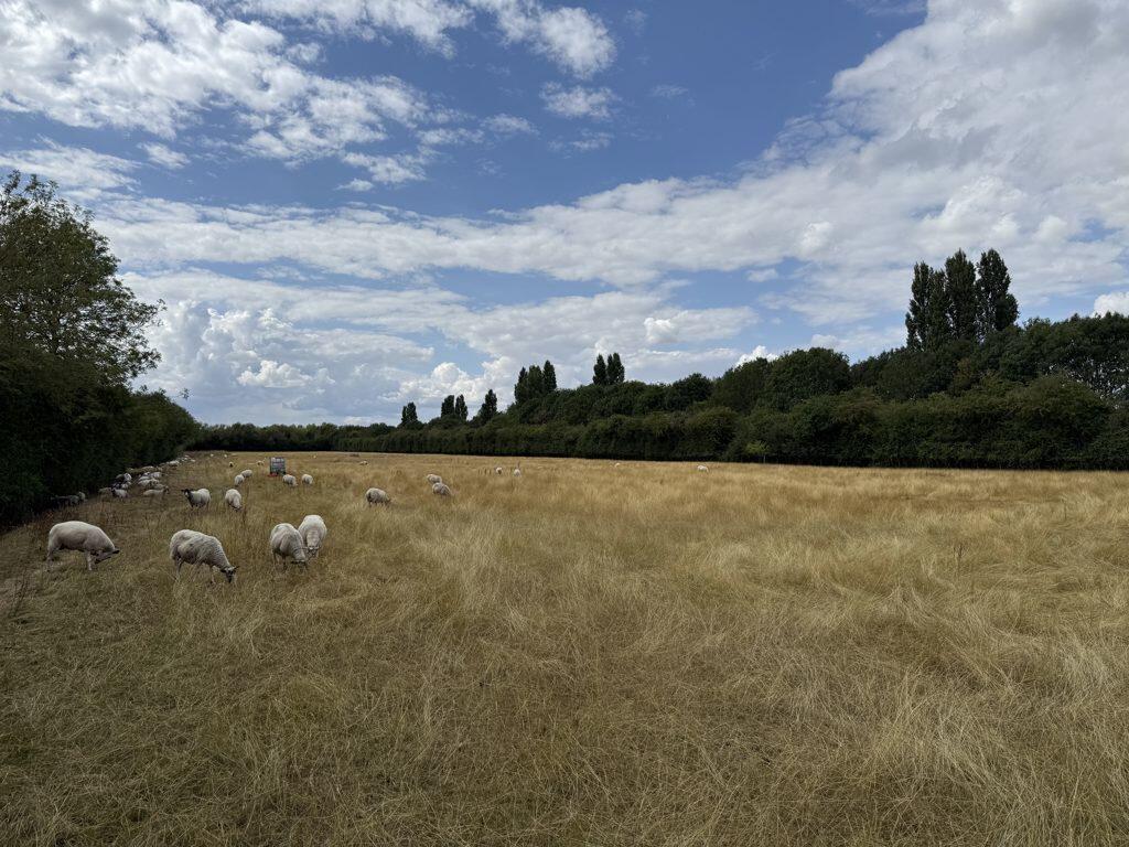 Main image of property: Land Off Holywell Ferry Road, Fen Drayton, Cambridge, Cambridgeshire, CB24 4TE