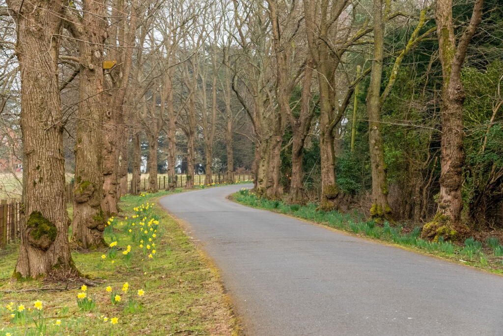 Additional image 18 of Chadwick Manor, Knowle, Solihull B93 0AT