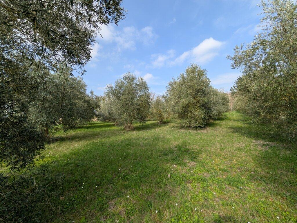 Main image of property: Le Marche, Ancona, Filottrano