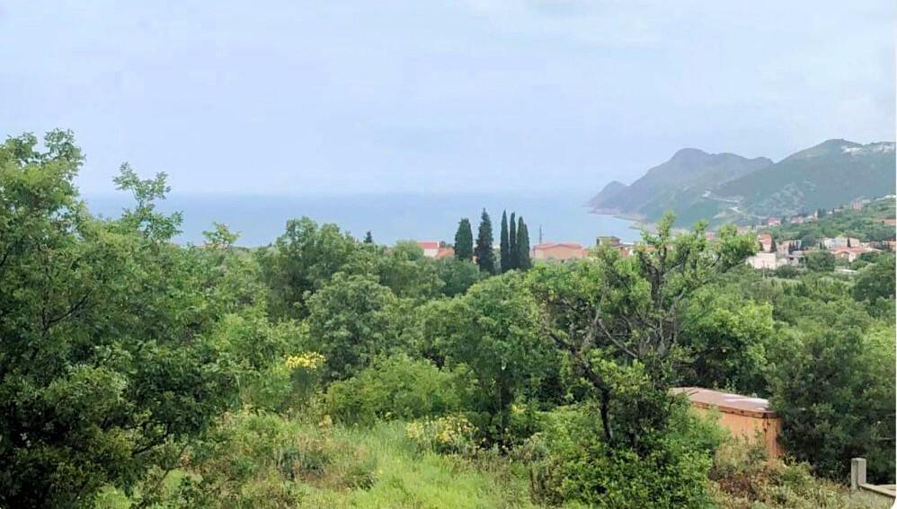 Main image of property: Pecurice