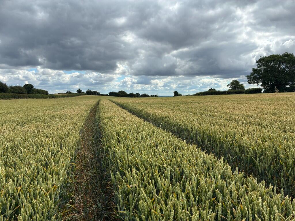 10.60 acres Land at Clifton - View 3