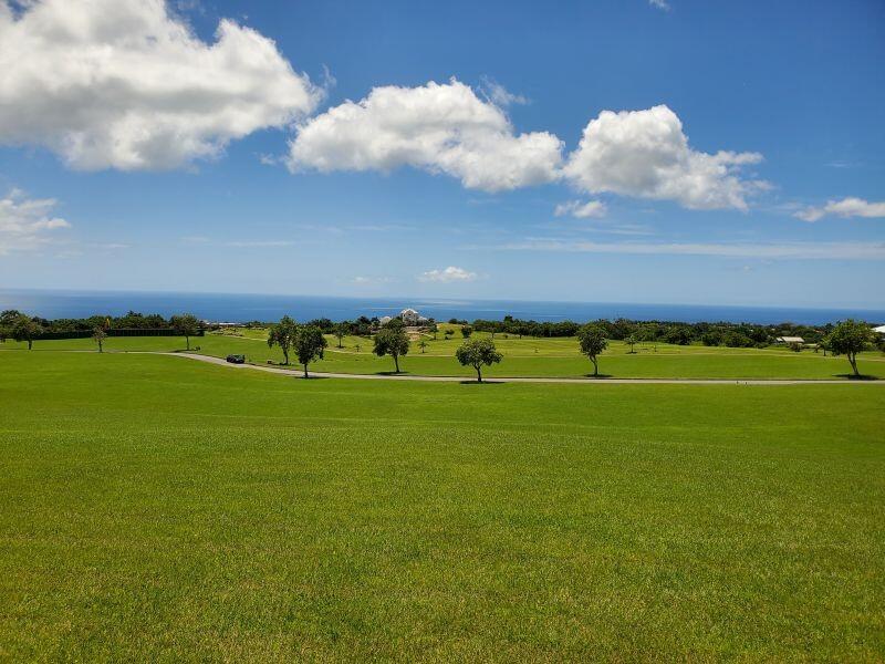 Main image of property: Apes Hill, St James