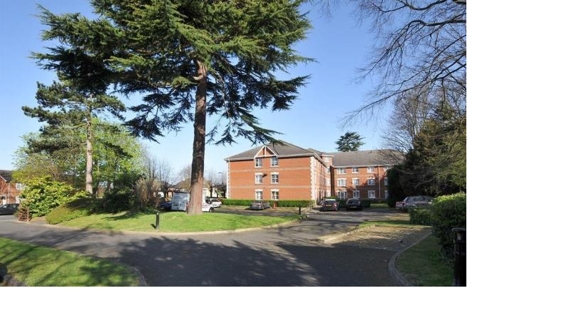 Apartment in Croydon - More