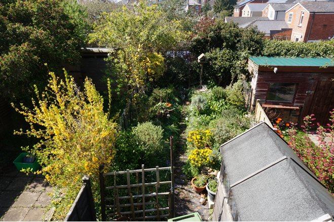 Photo of the property