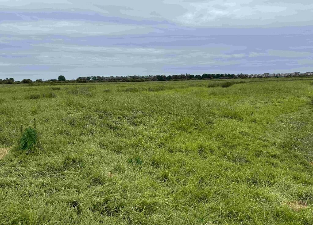 Farm land for sale in Peelings Marsh, Near Eastbourne BN24 - View 3