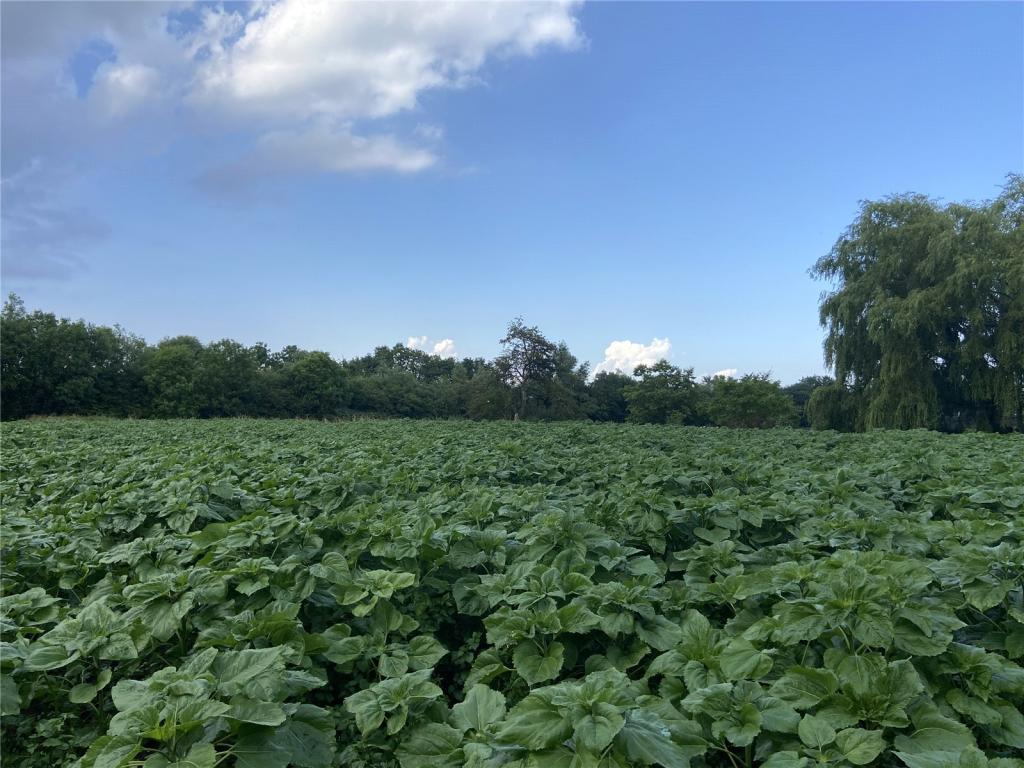 Main image of property: Rosemary Corner, Brookland, Romney Marsh, TN29