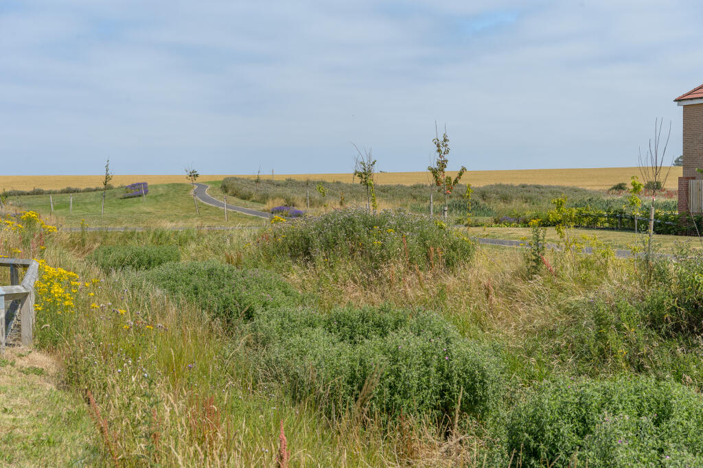 Pelican Road, Amble, Morpeth, Northumberland photo 4
