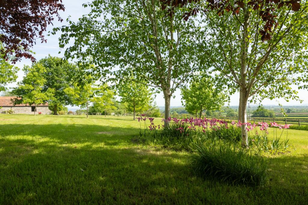 Additional image 16 of Butleigh, Glastonbury