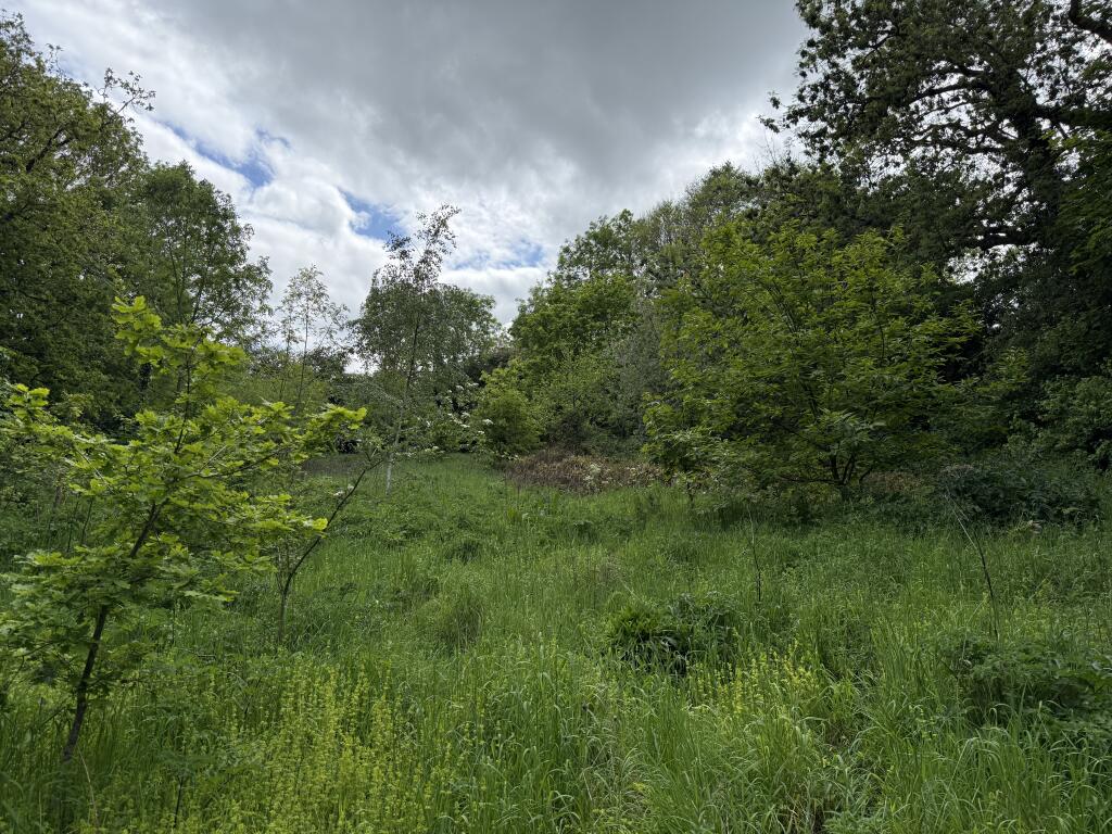 Main image of property: Land at Kingsmill, Bryn Y Grog Hill, Wrexham, LL13 0NS