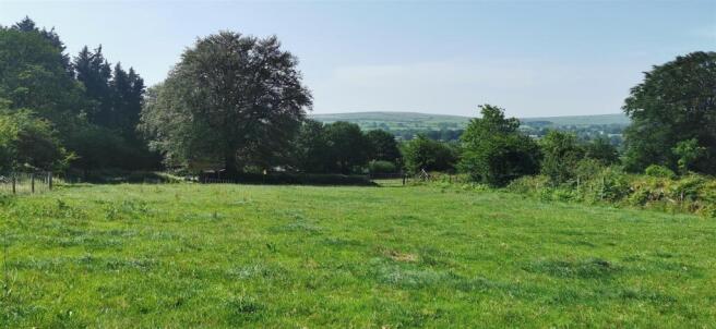 Upper Paddock