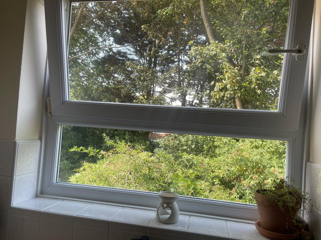 Apartment in Brighton - More
