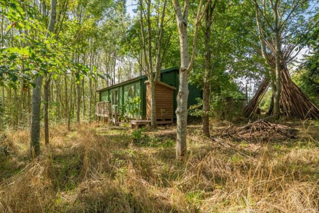 Picture No. 15