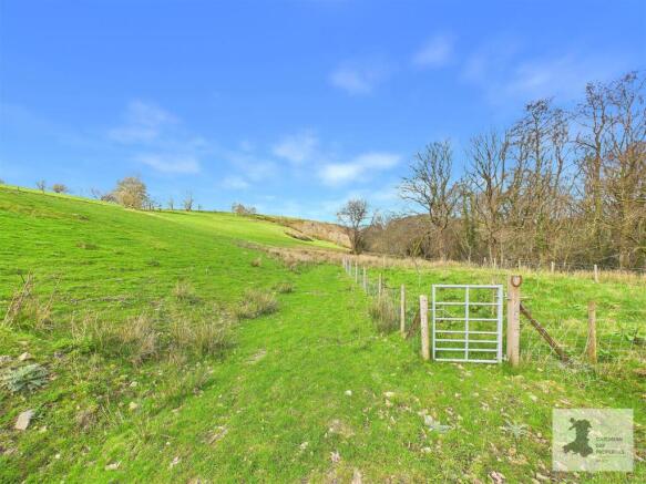 Field and views