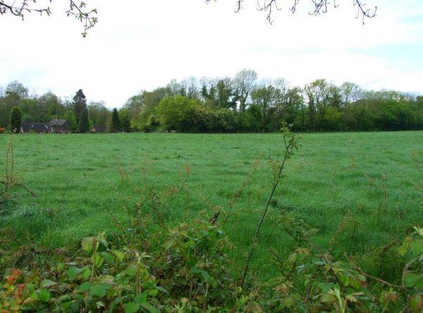 Photo of the property