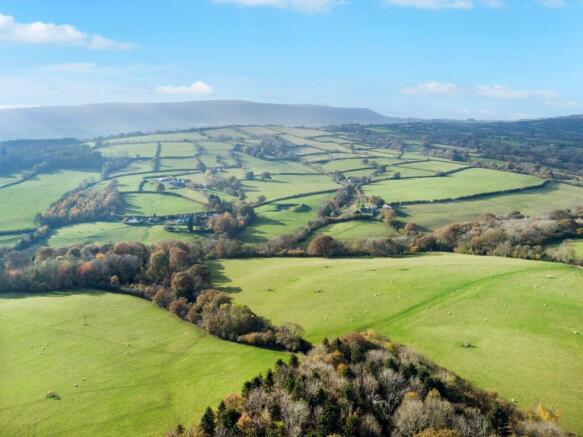 Picture 7