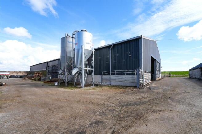 Feed Bins &amp; Shed