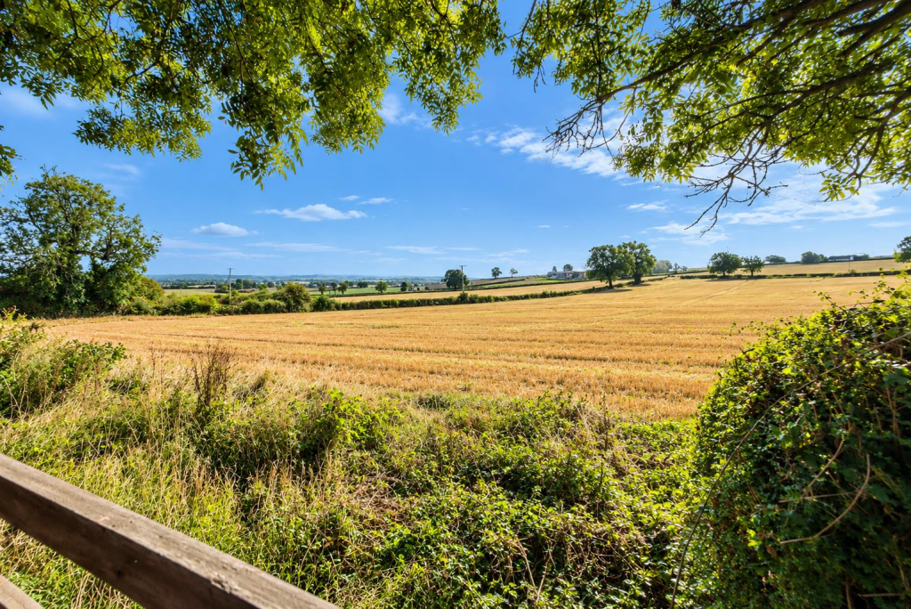 Hay Pool, Farnborough, Banbury photo 4