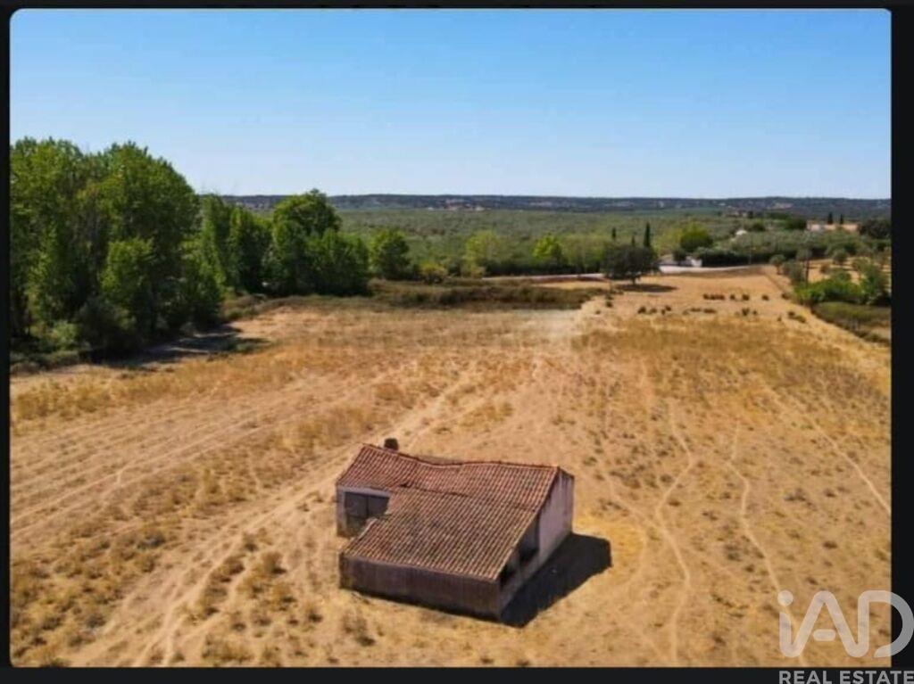 Main image of property: Alto Alentejo, Montargil