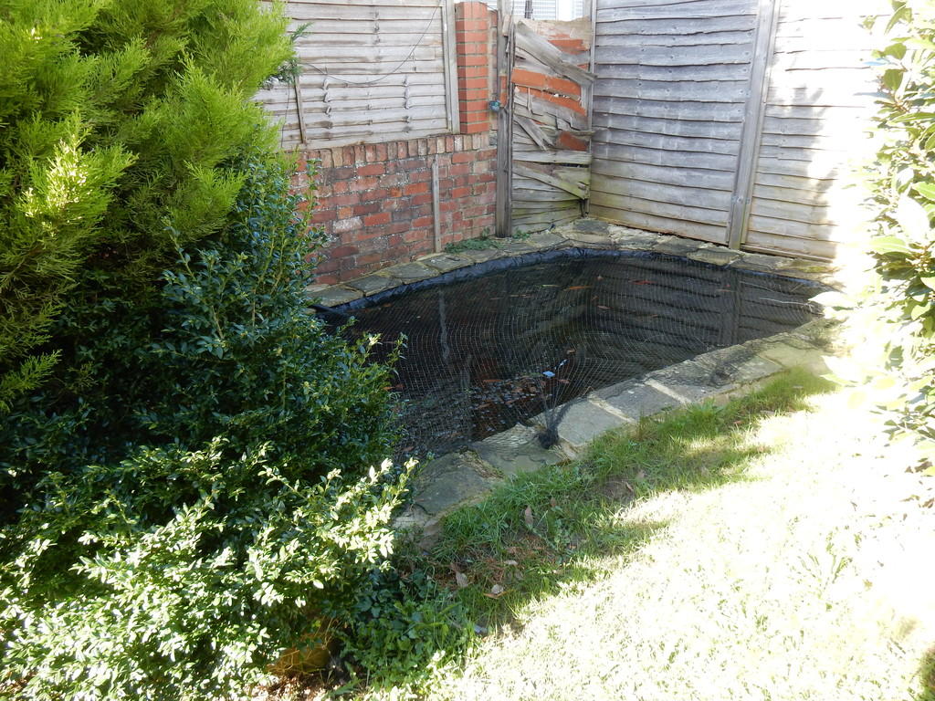 Photo of the property
