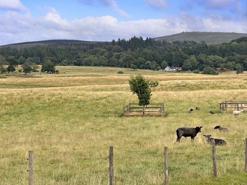 Cample Cottage, Cample, Thornhill, Dumfries, DG3 5HD - View 4