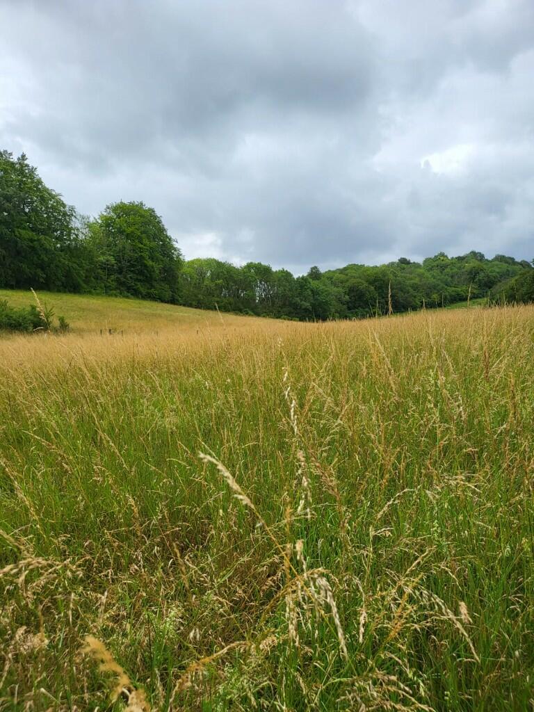 Main image of property: Buckhurst Avenue, Sevenoaks, Kent, TN13