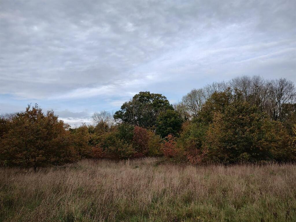 Main image of property: 9.44ac (3.82ha) of Land off Cookes Road and Dodgers Lane, Bergh Apton