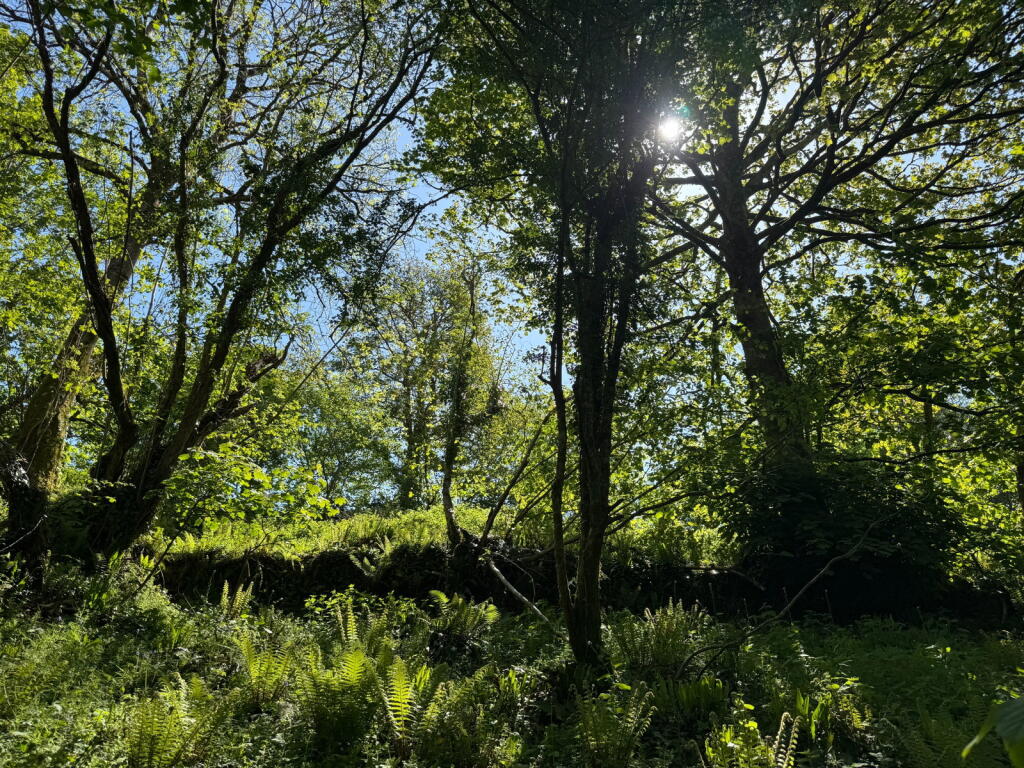 Main image of property: Milton Combe, Yelverton