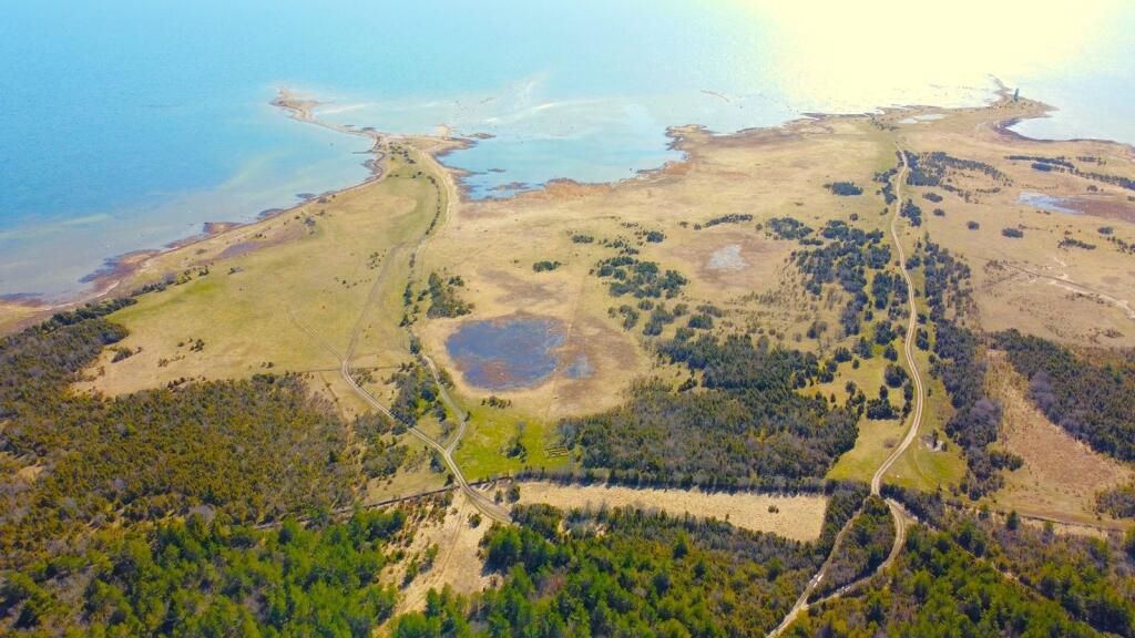Main image of property: Estonia