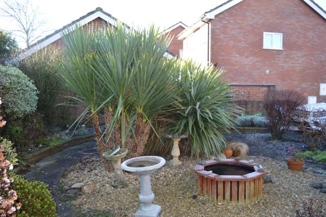 Photo of the property