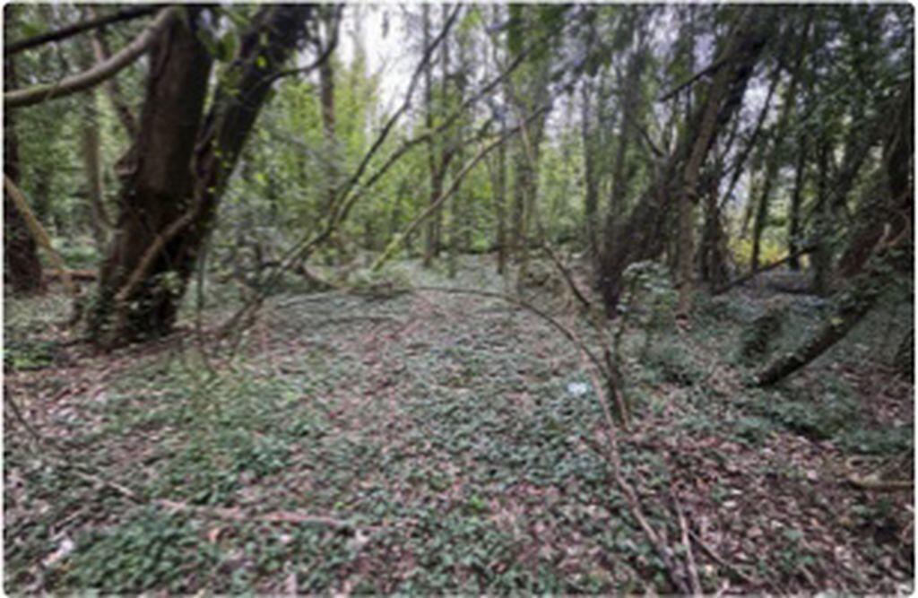 Main image of property: Dover Road, Deal