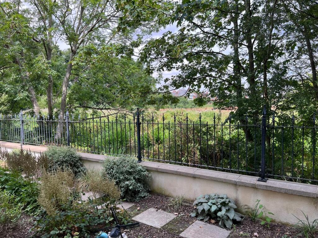 East Borough, Wimborne photo 5
