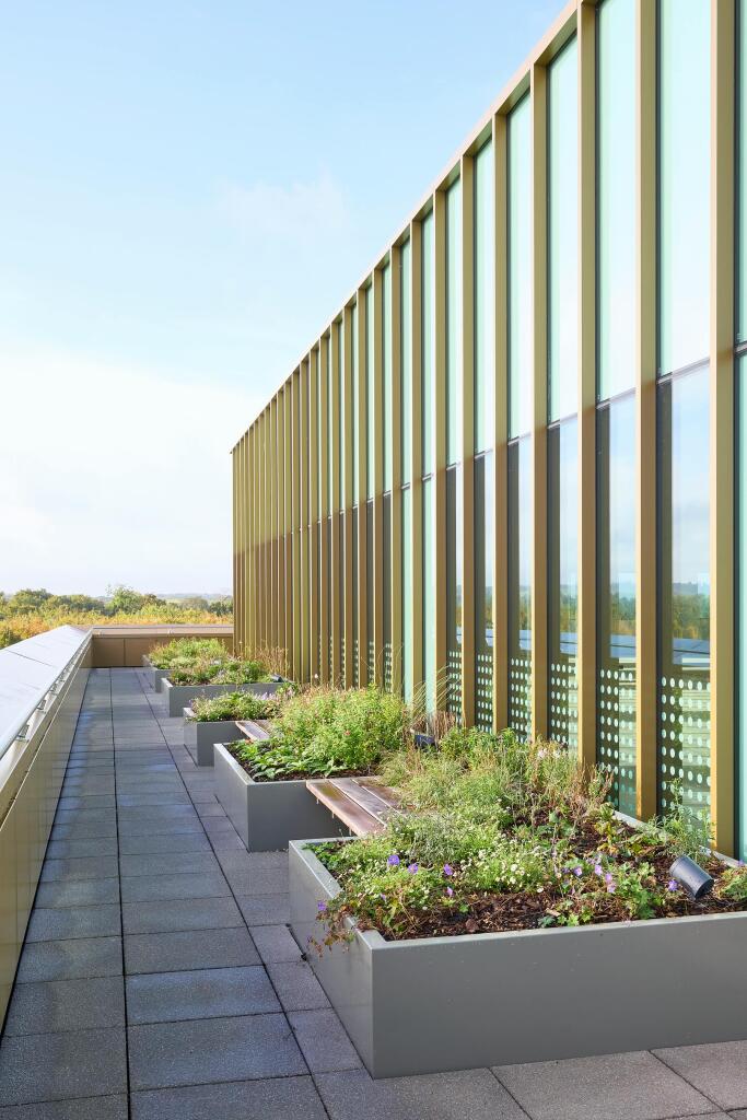 Terrace photo.jpg