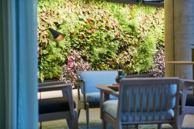 A 58m living green wall