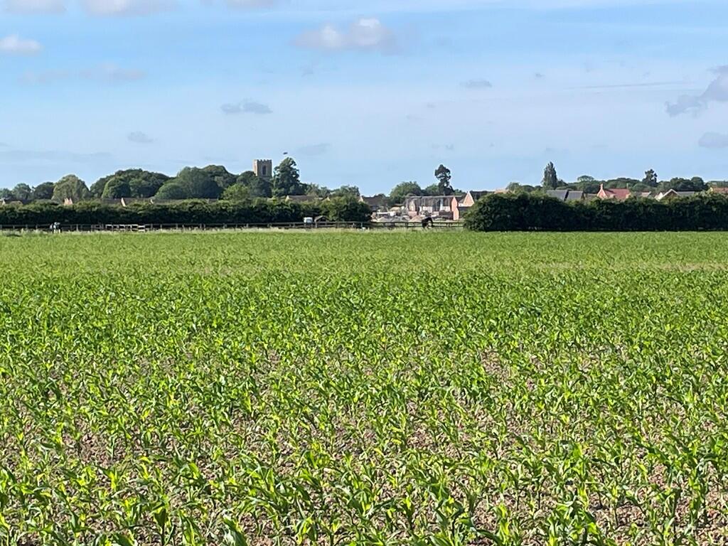 Main image of property: Sibsey House Farm - For Sale