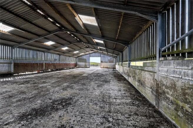 Cattle Shed