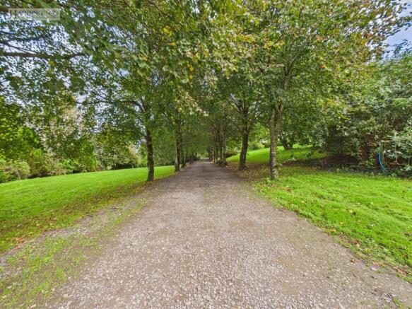 driveway.jpg