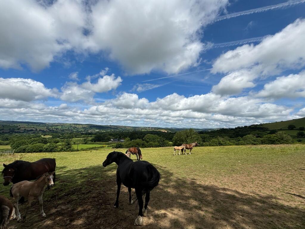 Crugybar, Llanwrda, SA19 - View 5