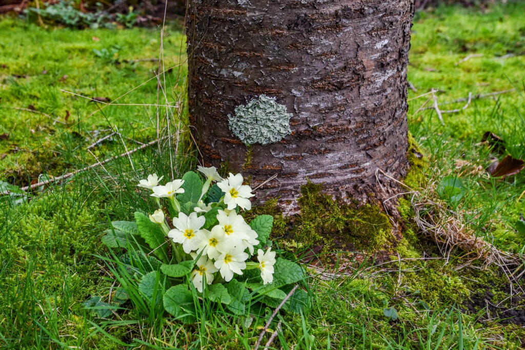 Additional image 21 of Great Hinton, Trowbridge, BA14