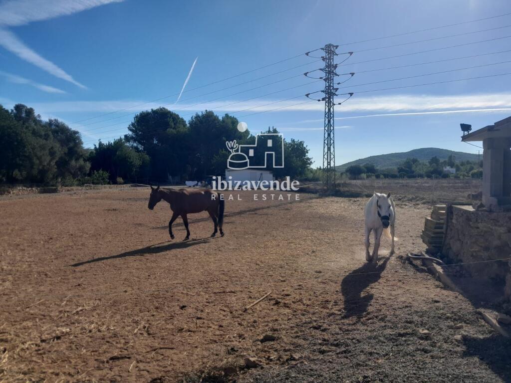 Main image of property: Balearic Islands, Mallorca, San Juan Bautista