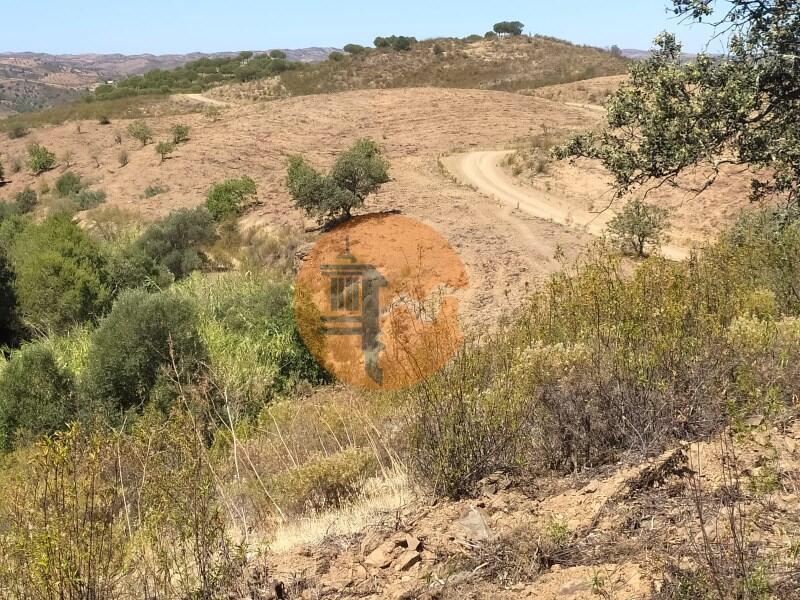 Main image of property: Algarve, Azinhal