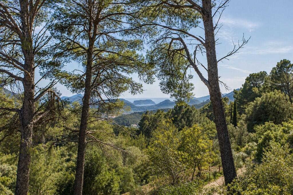 Main image of property: Andratx, Mallorca, Balearic Islands