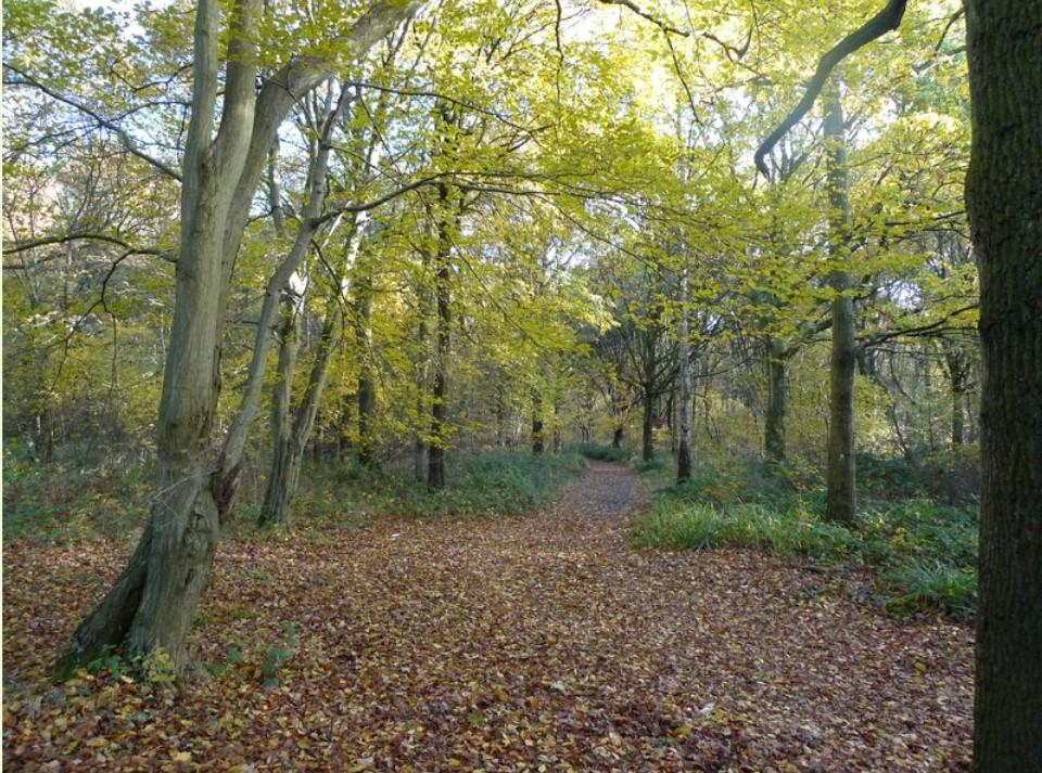 Main image of property: Glovers Wood, Charlwood Lane, Charlwood, Surrey, RH60EL