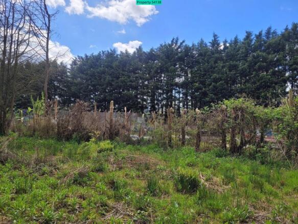 Plot 1 front view - Trees to be reduced in height