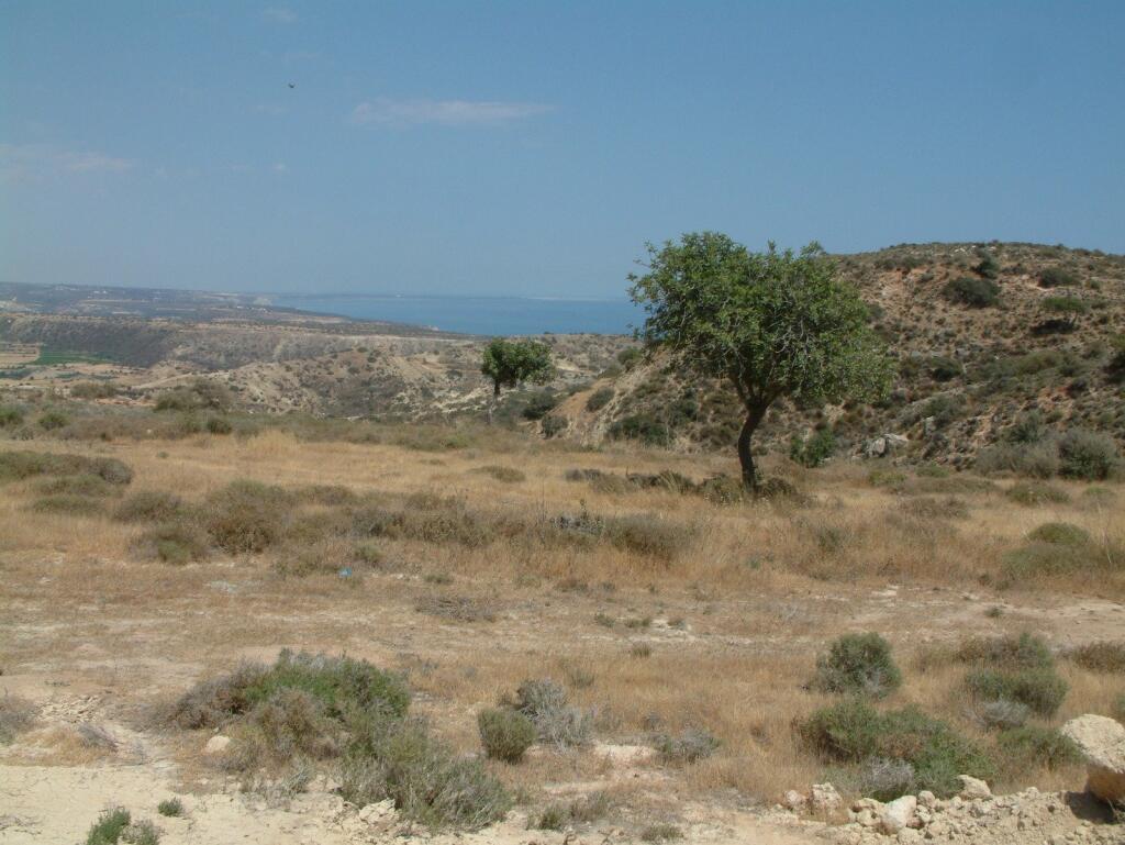 Main image of property: Limassol, Pissouri