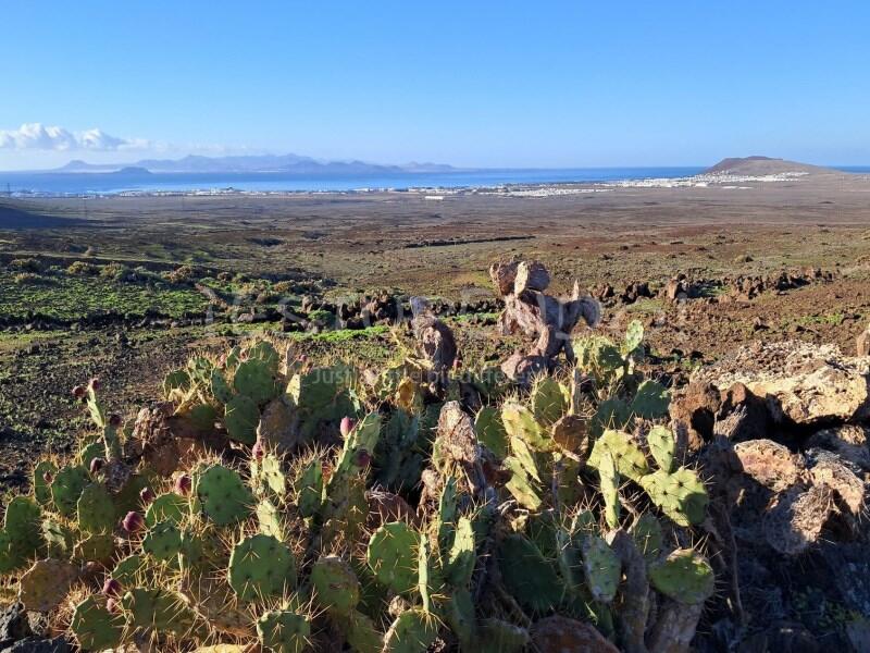 Main image of property: Canary Islands, Lanzarote, Yaiza