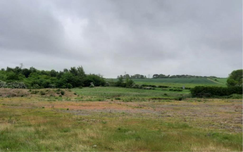 Picture 3 F .jpg