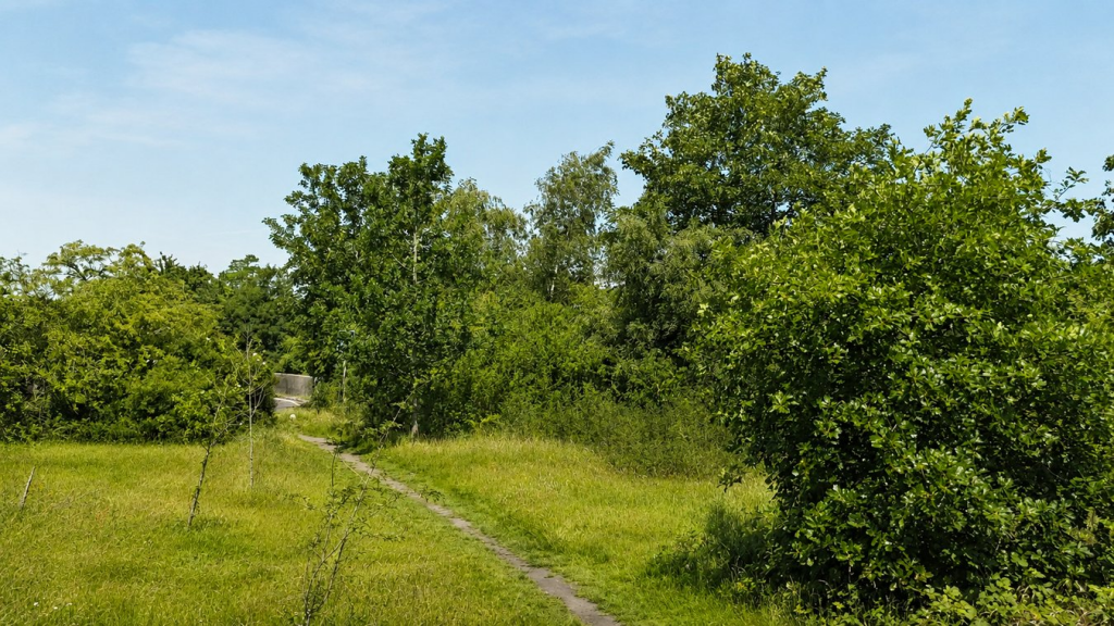  Ringwood , BH24 photo 4